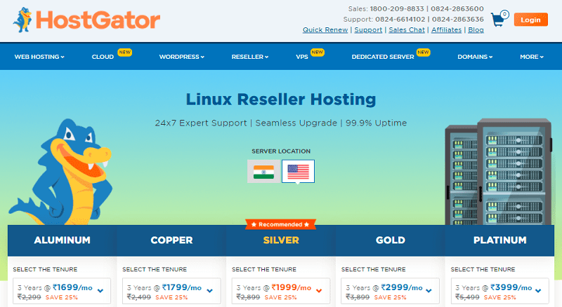 unlimited CP reseller hosting services